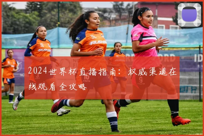 2024世界杯直播指南：权威渠道在线观看全攻略